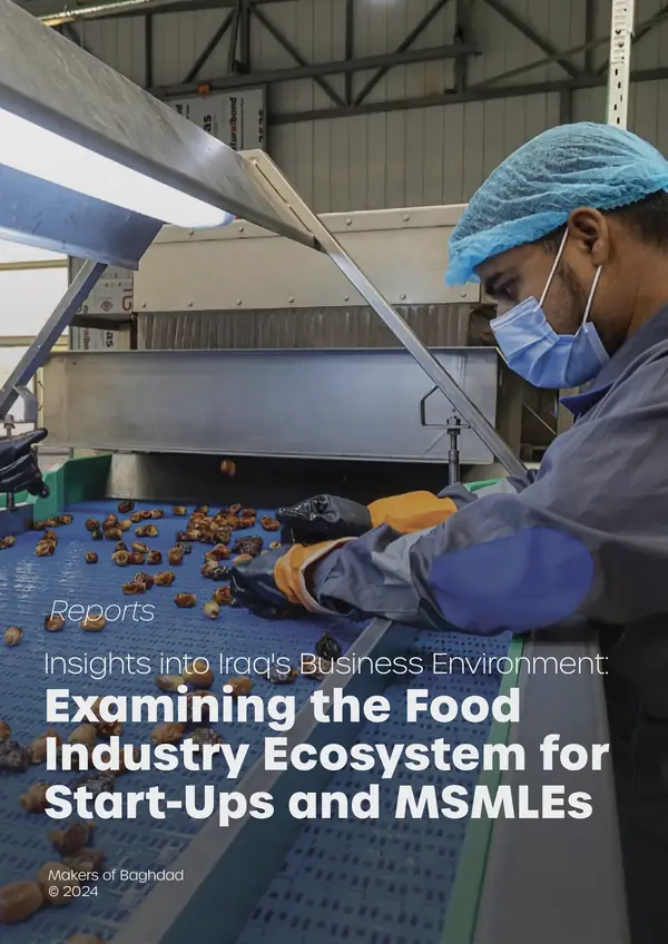 Cover of Insights into Iraq's Business Environment: Examining the Food Industry Ecosystem for Start-Ups and MSMLEs